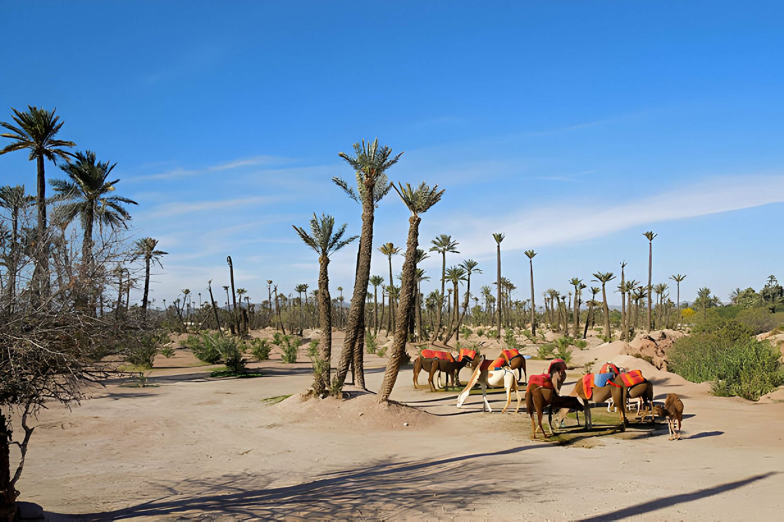 Miragia experiences Excursions Tours Marrakech Palmeraie Marrakech 1