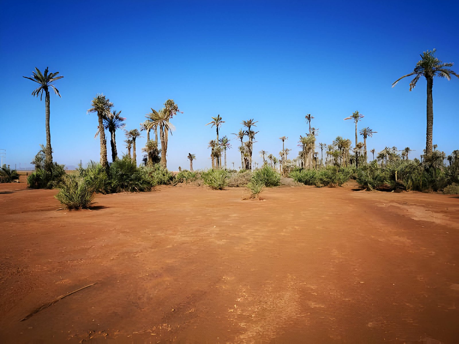 Miragia experiences Excursions Tours Marrakech Palmeraie Marrakech 2