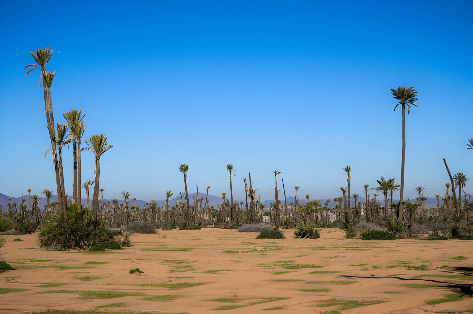 Miragia experiences Excursions Tours Marrakech Palmeraie Marrakech 3