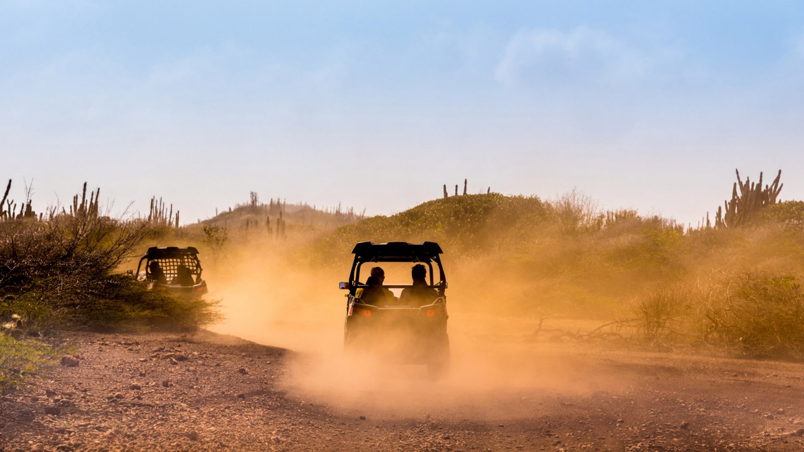 marrakechstory-buggy-palmerie1
